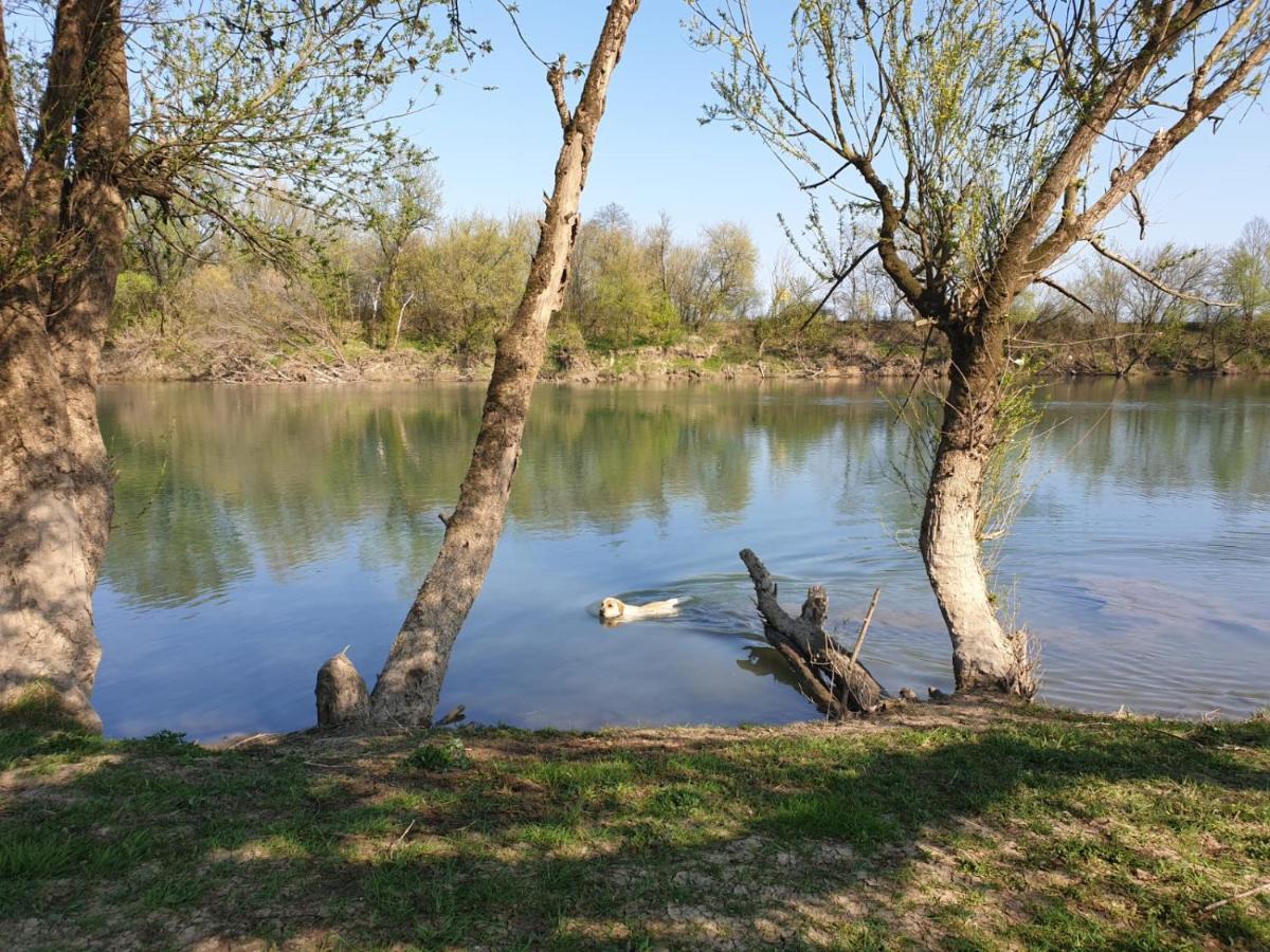 Guest House Studio Apartman Marina - With Jacuzzi, Free Parking, Pet Friendly Karlovac Eksteriør bilde