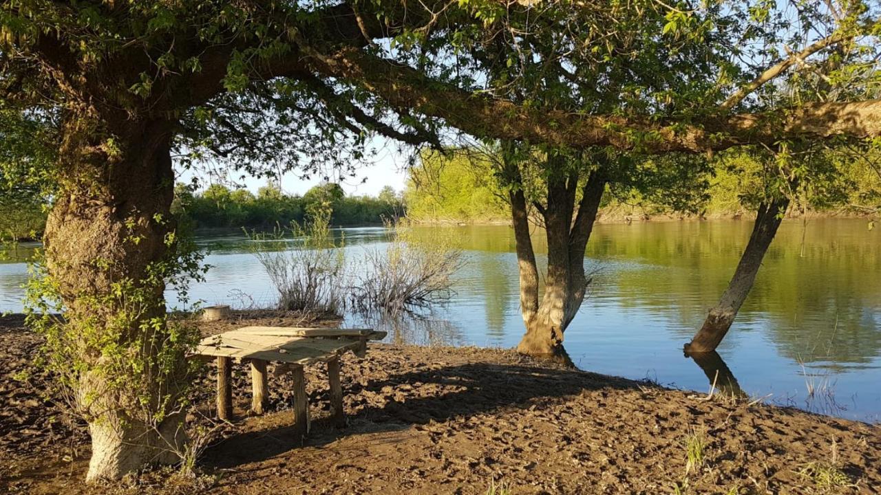 Guest House Studio Apartman Marina - With Jacuzzi, Free Parking, Pet Friendly Karlovac Eksteriør bilde