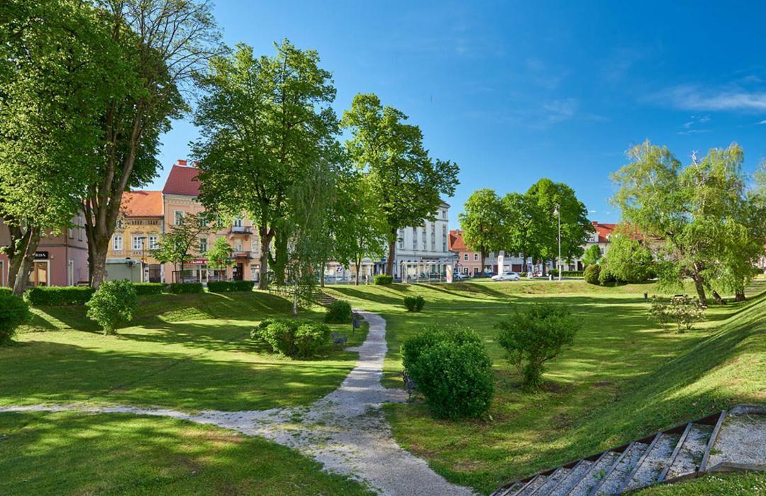 Guest House Studio Apartman Marina - With Jacuzzi, Free Parking, Pet Friendly Karlovac Eksteriør bilde
